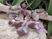 Natural Red Hematoid Quartz Crystals x 12 From Karoi, Zimbabwe