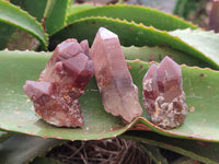 Natural Red Hematoid Quartz Crystals x 12 From Karoi, Zimbabwe