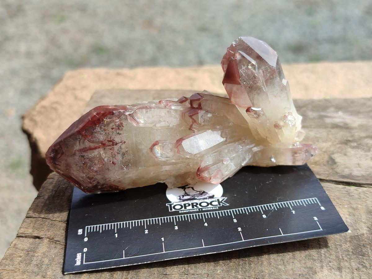 Natural Red Hematoid Quartz Crystals x 12 From Karoi, Zimbabwe