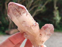 Natural Red Hematoid Quartz Crystals x 12 From Karoi, Zimbabwe