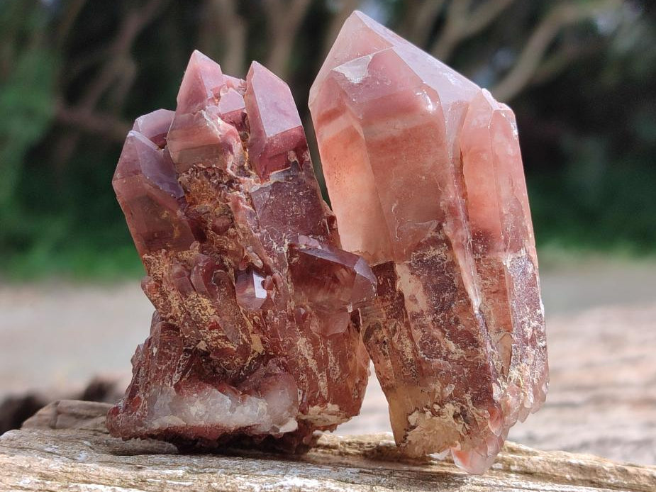 Natural Red Hematoid Quartz Crystals x 12 From Karoi, Zimbabwe