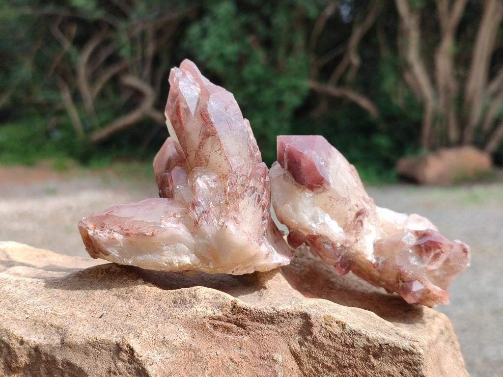 Natural Red Hematoid Quartz Crystals x 12 From Karoi, Zimbabwe