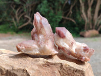 Natural Red Hematoid Quartz Crystals x 12 From Karoi, Zimbabwe