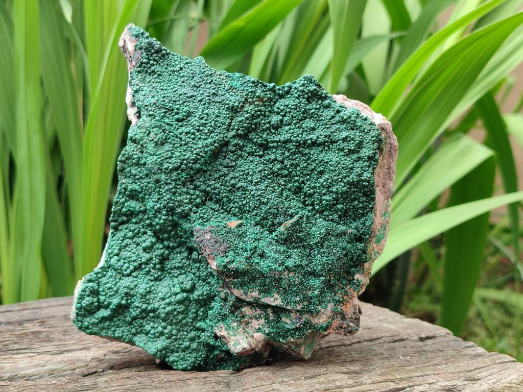 Natural Crystalline Malachite Specimens x 2 From Tenke Fungurume, Congo