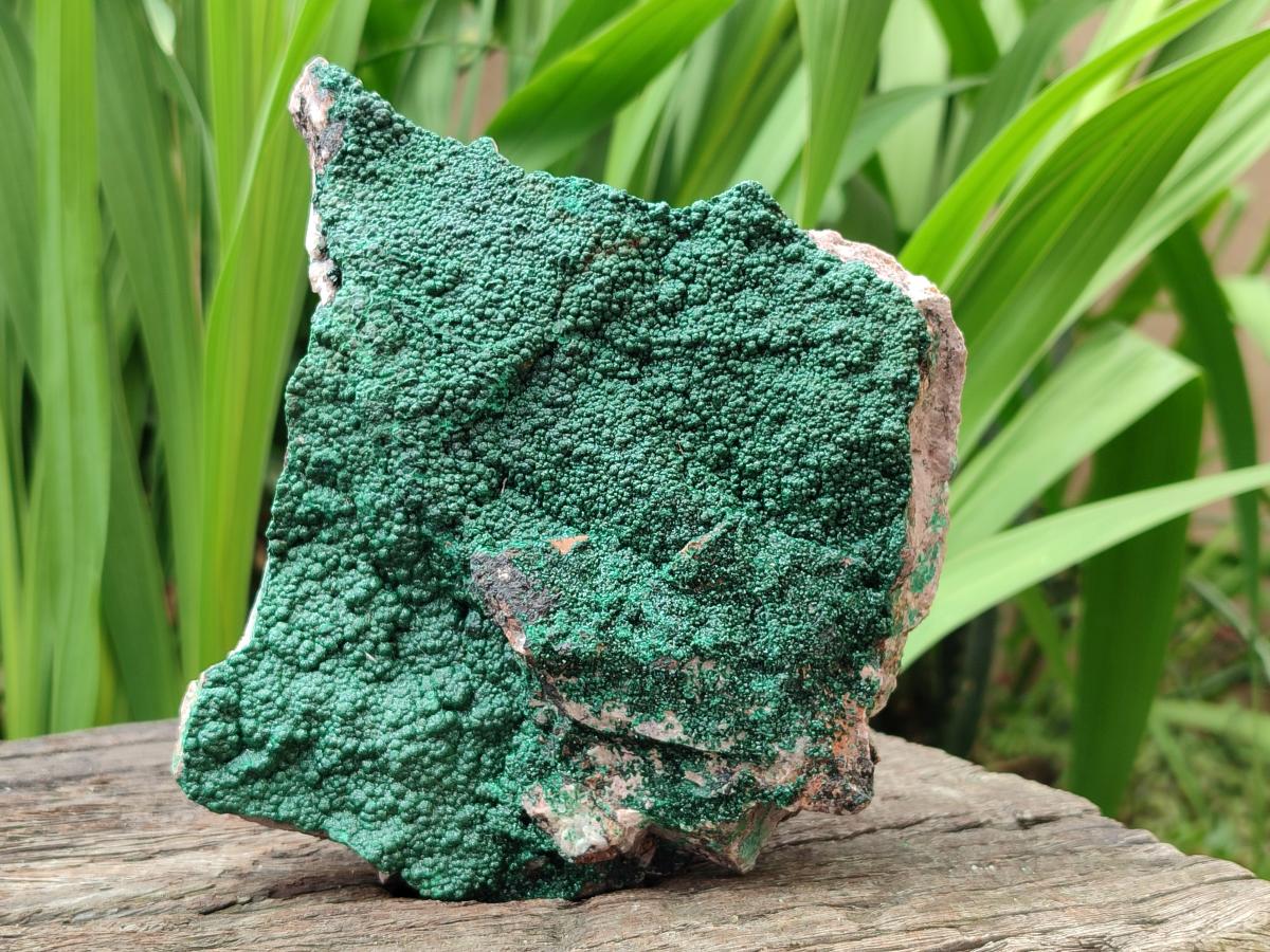Natural Crystalline Malachite Specimens x 2 From Tenke Fungurume, Congo