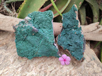 Natural Crystalline Malachite Specimens x 2 From Tenke Fungurume, Congo