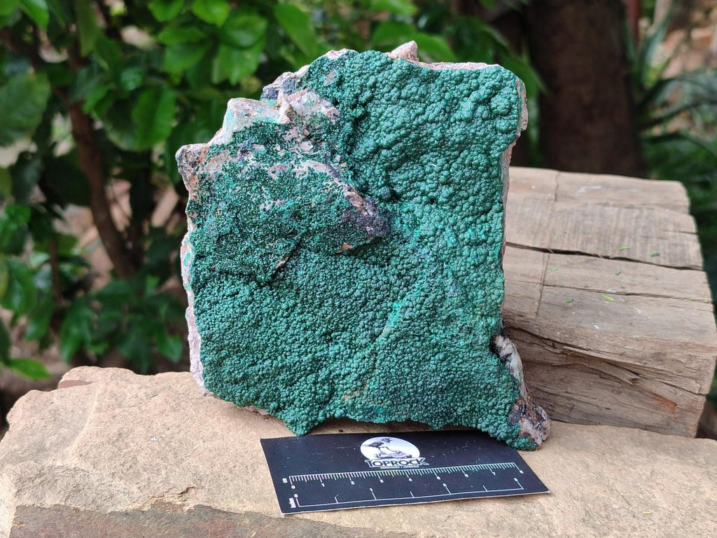 Natural Crystalline Malachite Specimens x 2 From Tenke Fungurume, Congo