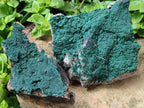 Natural Crystalline Malachite Specimens x 2 From Tenke Fungurume, Congo