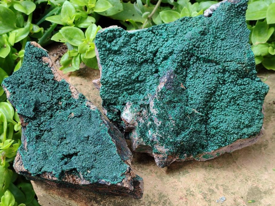 Natural Crystalline Malachite Specimens x 2 From Tenke Fungurume, Congo