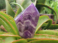 Polished Chevron Amethyst Crystals x 4 From Zambia
