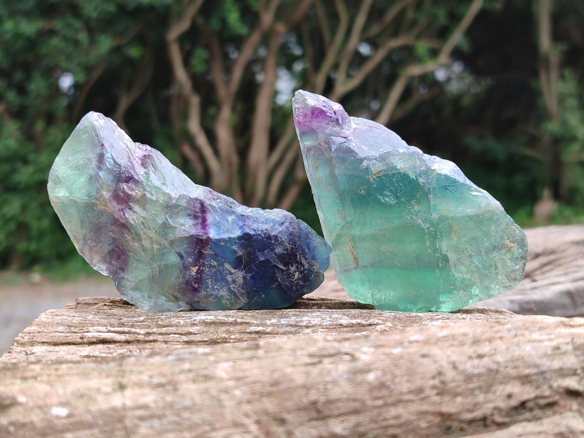 Natural Watermelon Fluorite Cobbed Specimens x 24 From Uis, Namibia