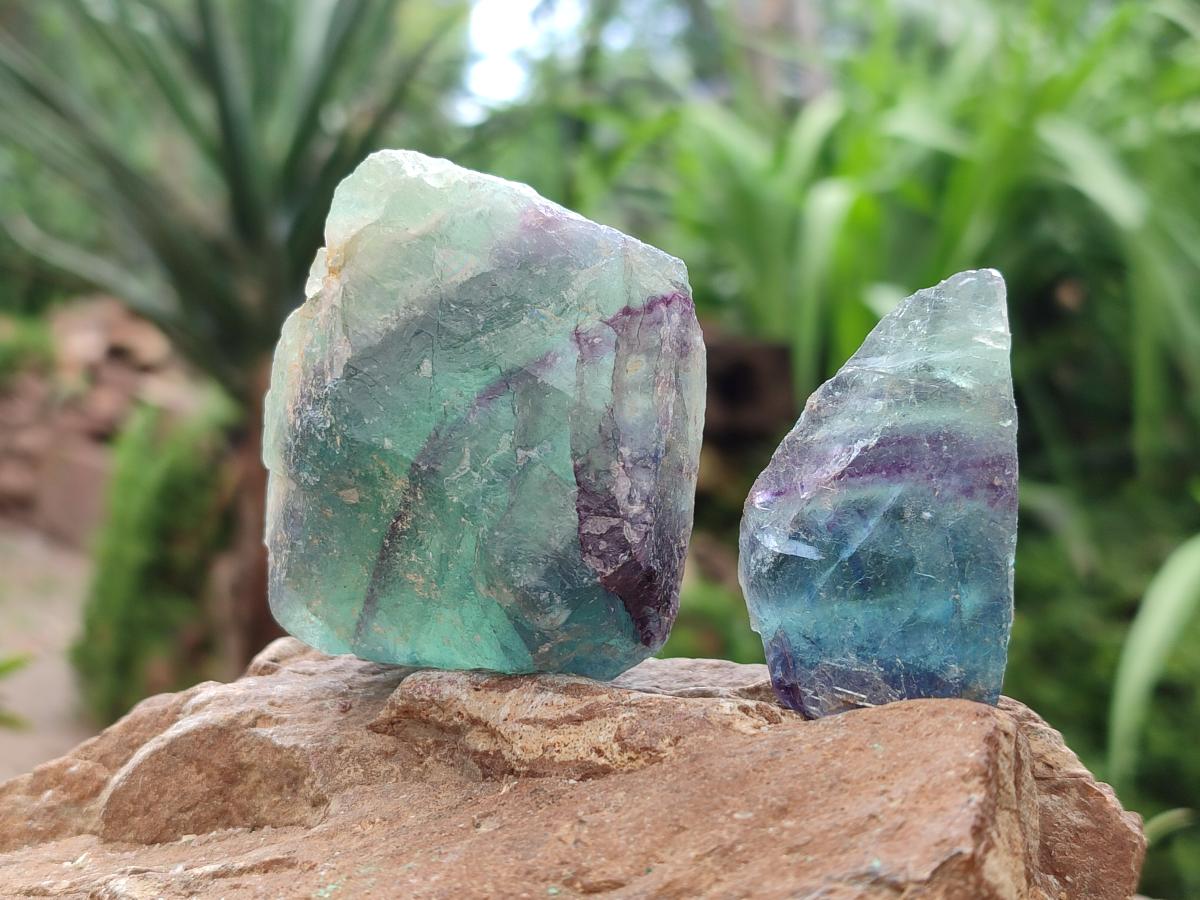 Natural Watermelon Fluorite Cobbed Specimens x 24 From Uis, Namibia