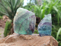 Natural Watermelon Fluorite Cobbed Specimens x 24 From Uis, Namibia