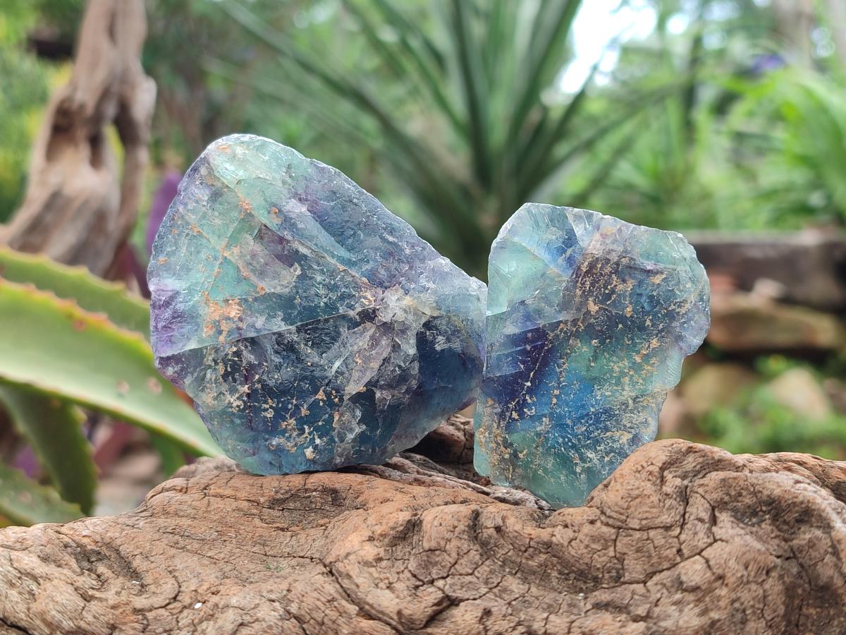 Natural Watermelon Fluorite Cobbed Specimens x 24 From Uis, Namibia