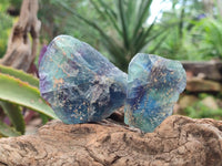 Natural Watermelon Fluorite Cobbed Specimens x 24 From Uis, Namibia