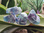 Natural Watermelon Fluorite Cobbed Specimens x 24 From Uis, Namibia