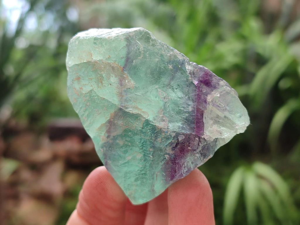 Natural Watermelon Fluorite Cobbed Specimens x 24 From Uis, Namibia