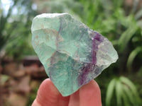 Natural Watermelon Fluorite Cobbed Specimens x 24 From Uis, Namibia