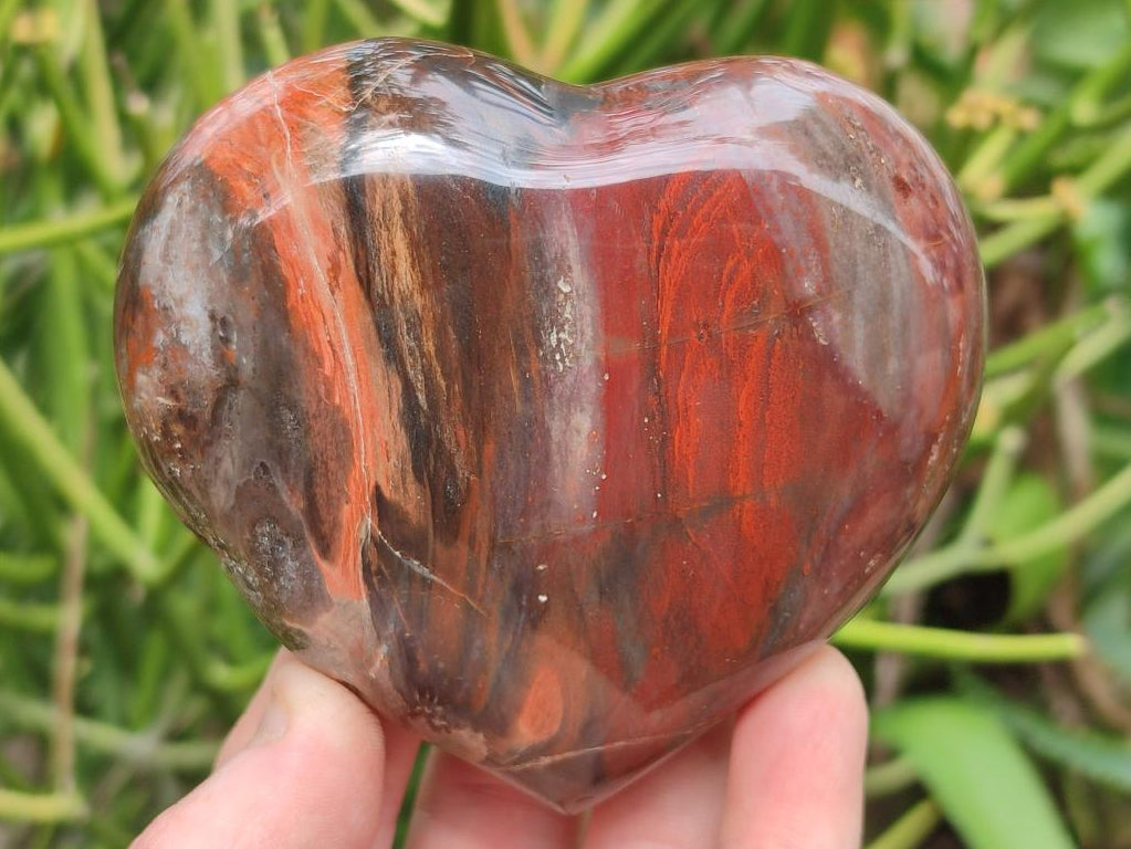 Polished Red Podocarpus Petrified Wood Hearts x 2 From Mahajanga, Madagascar