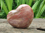 Polished Red Podocarpus Petrified Wood Hearts x 2 From Mahajanga, Madagascar - Toprock Gemstones and Minerals 