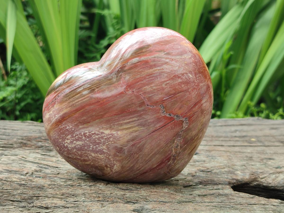 Polished Red Podocarpus Petrified Wood Hearts x 2 From Mahajanga, Madagascar