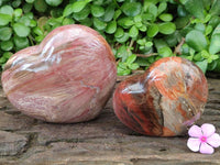 Polished Red Podocarpus Petrified Wood Hearts x 2 From Mahajanga, Madagascar