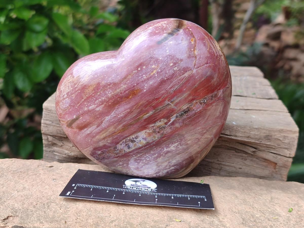 Polished Red Podocarpus Petrified Wood Hearts x 2 From Mahajanga, Madagascar - Toprock Gemstones and Minerals 
