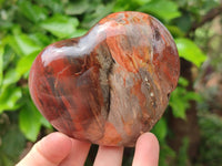 Polished Red Podocarpus Petrified Wood Hearts x 2 From Mahajanga, Madagascar