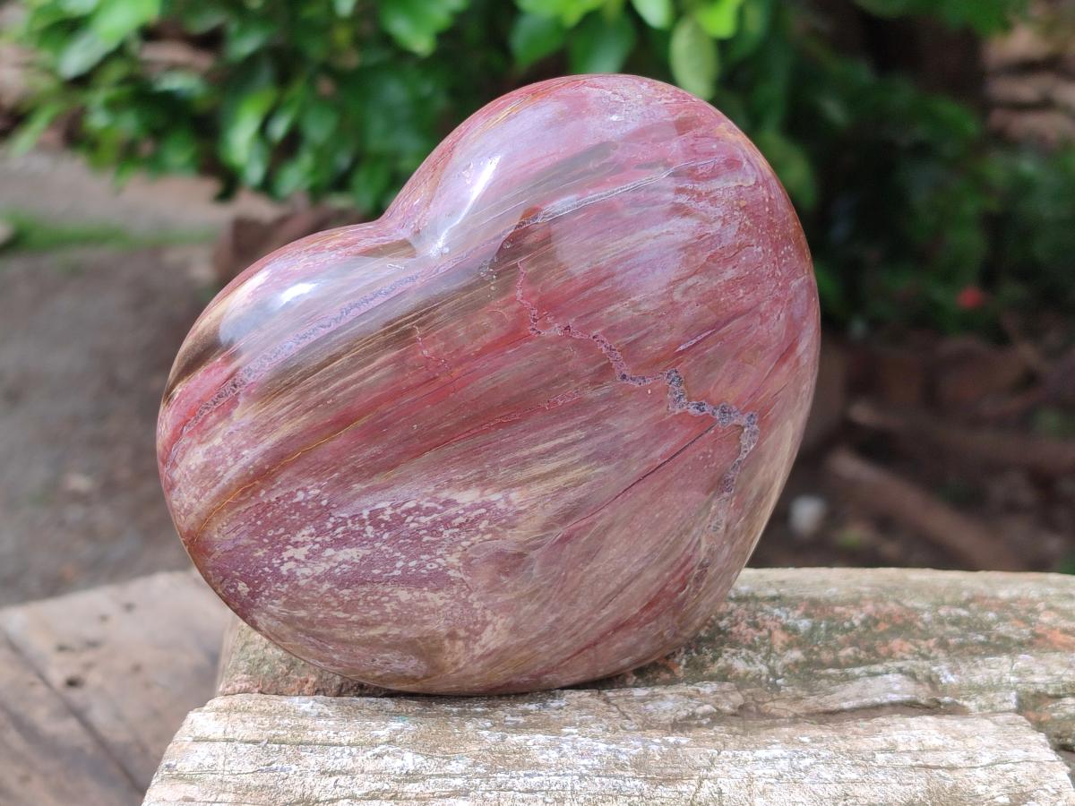 Polished Red Podocarpus Petrified Wood Hearts x 2 From Mahajanga, Madagascar