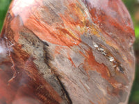 Polished Red Podocarpus Petrified Wood Hearts x 2 From Mahajanga, Madagascar