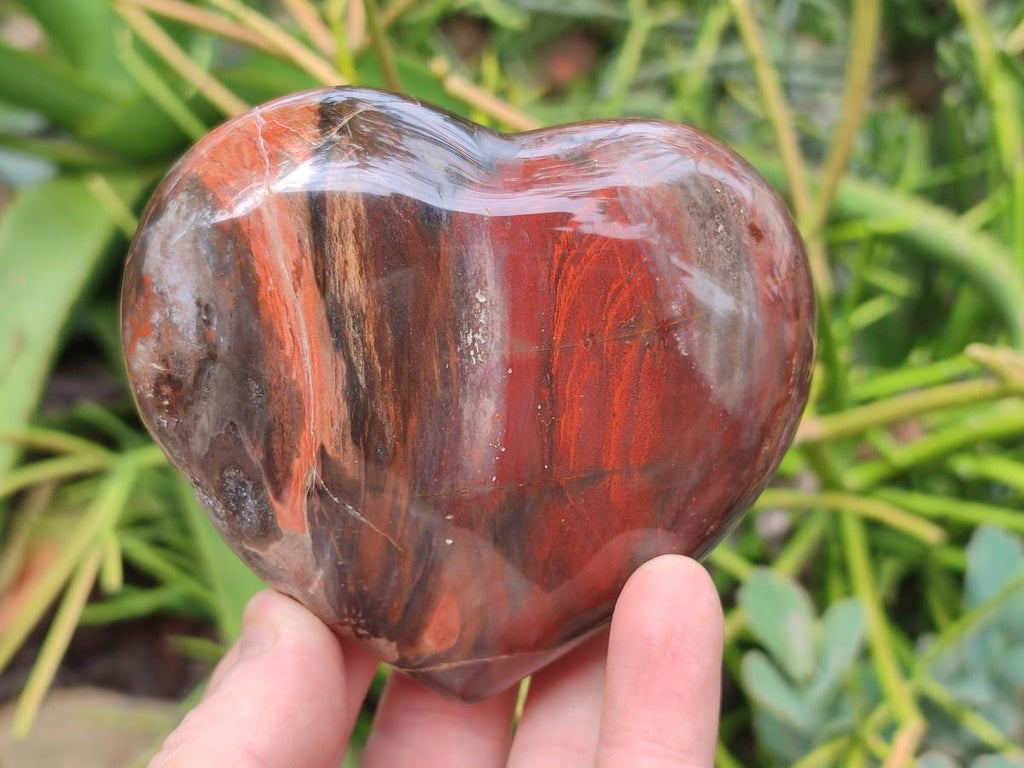 Polished Red Podocarpus Petrified Wood Hearts x 2 From Mahajanga, Madagascar - Toprock Gemstones and Minerals 