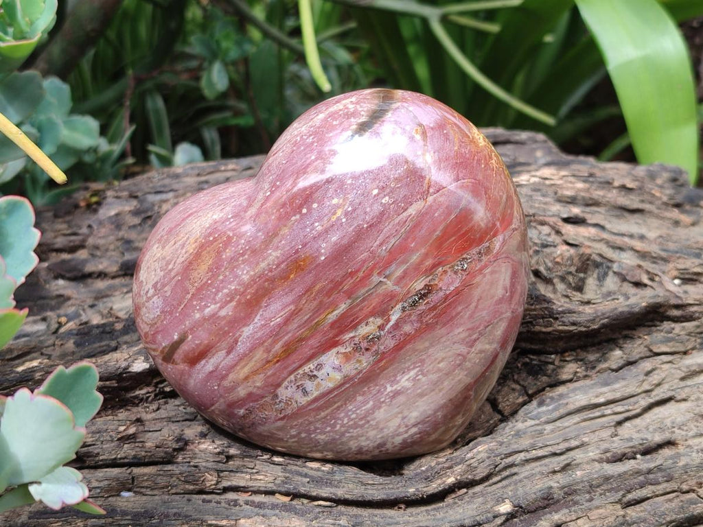 Polished Red Podocarpus Petrified Wood Hearts x 2 From Mahajanga, Madagascar - Toprock Gemstones and Minerals 