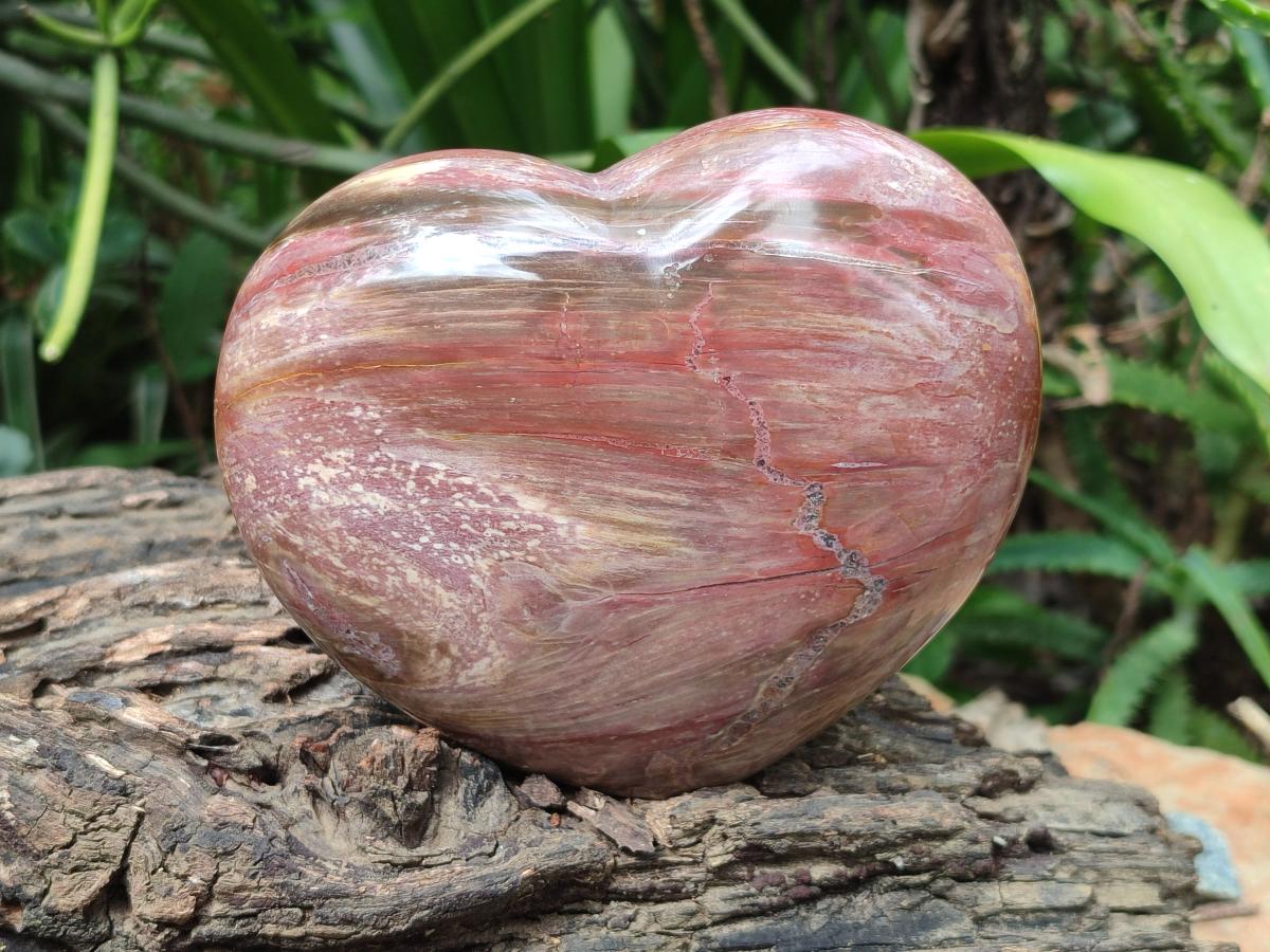 Polished Red Podocarpus Petrified Wood Hearts x 2 From Mahajanga, Madagascar