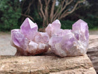 Natural Jacaranda Amethyst Crystal Clusters x 6 From Mumbwa, Zambia