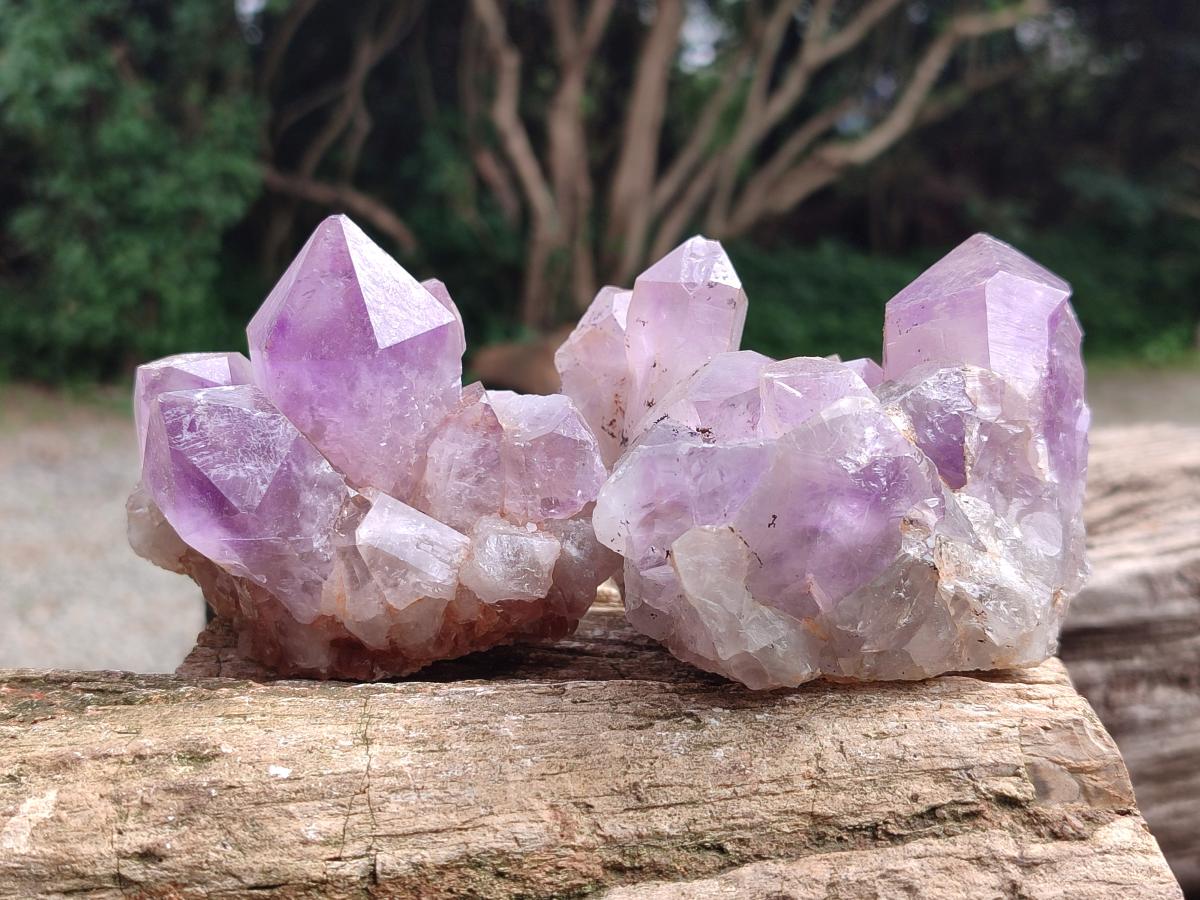 Natural Jacaranda Amethyst Crystal Clusters x 6 From Mumbwa, Zambia