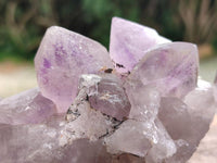 Natural Jacaranda Amethyst Crystal Clusters x 6 From Mumbwa, Zambia