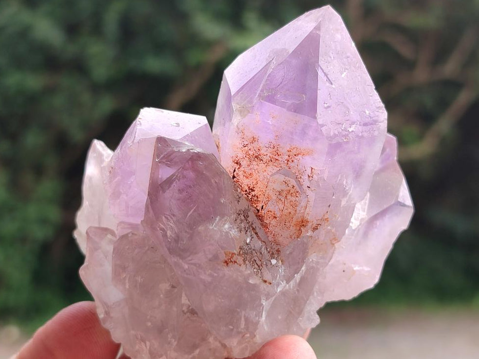 Natural Jacaranda Amethyst Crystal Clusters x 6 From Mumbwa, Zambia