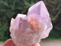 Natural Jacaranda Amethyst Crystal Clusters x 6 From Mumbwa, Zambia