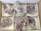 Natural Jacaranda Amethyst Crystal Clusters x 6 From Mumbwa, Zambia