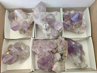 Natural Jacaranda Amethyst Crystal Clusters x 6 From Mumbwa, Zambia
