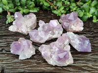 Natural Jacaranda Amethyst Crystal Clusters x 6 From Mumbwa, Zambia