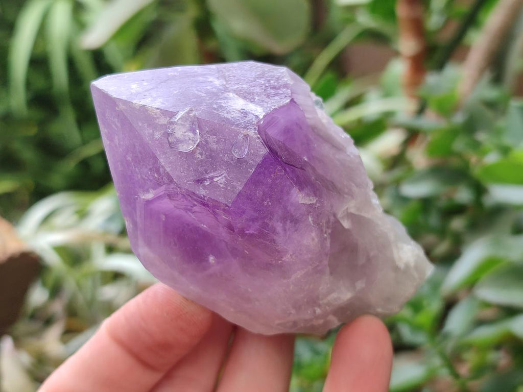 Natural Jacaranda Amethyst Crystal Clusters x 6 From Mumbwa, Zambia