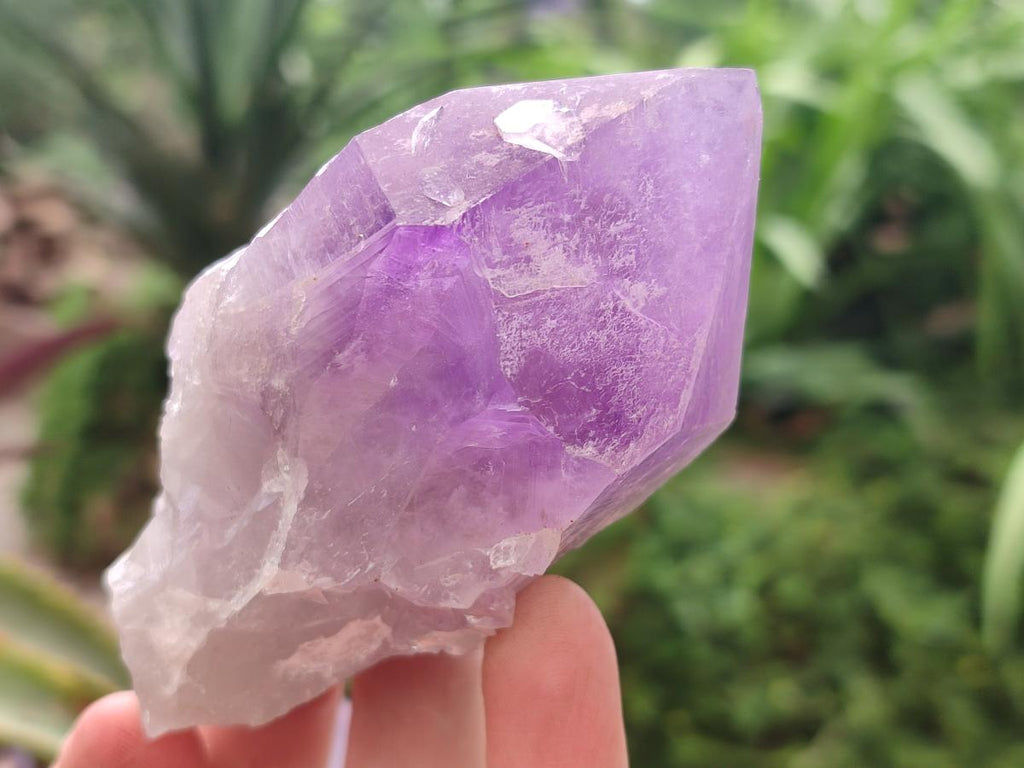 Natural Jacaranda Amethyst Crystal Clusters x 6 From Mumbwa, Zambia