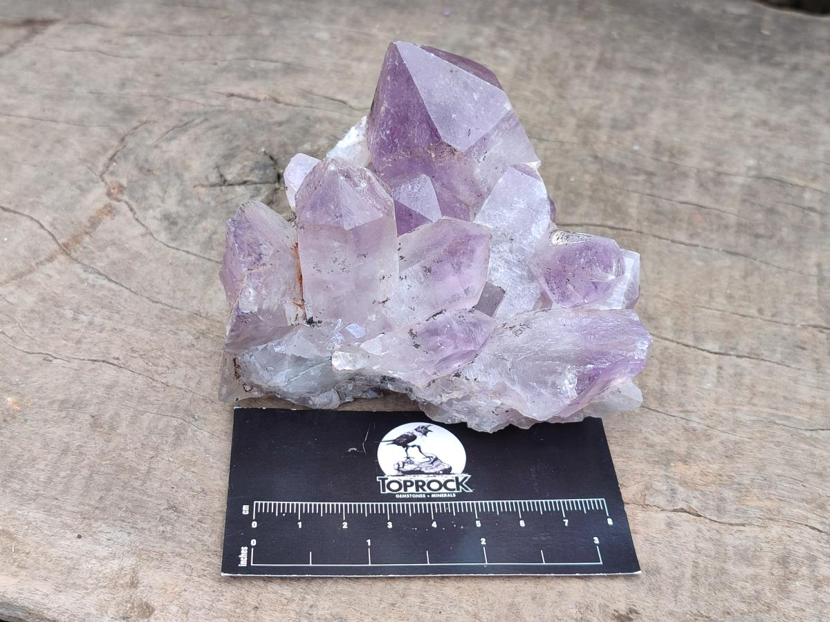 Natural Jacaranda Amethyst Crystal Clusters x 6 From Mumbwa, Zambia