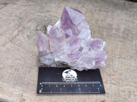 Natural Jacaranda Amethyst Crystal Clusters x 6 From Mumbwa, Zambia