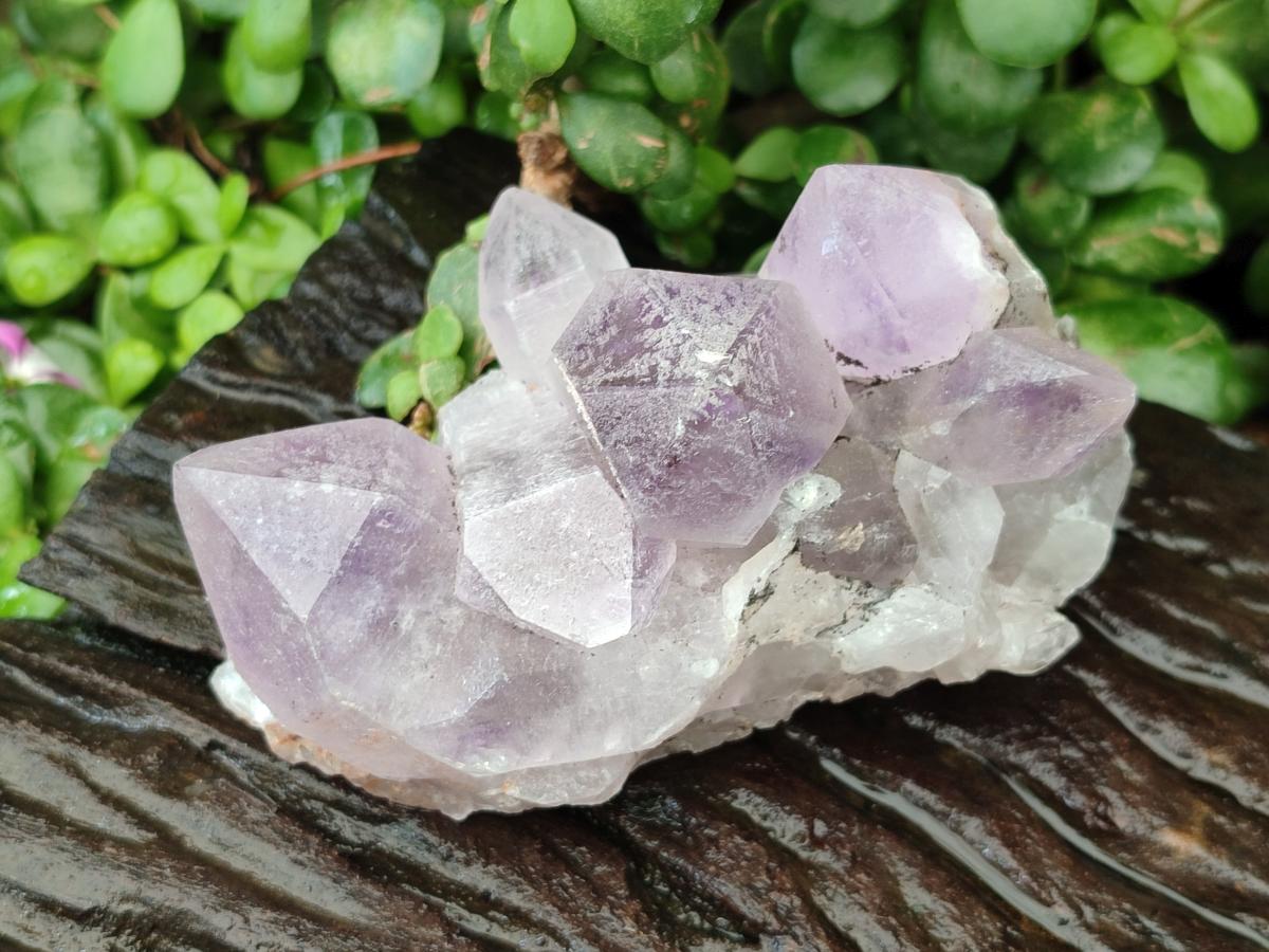 Natural Jacaranda Amethyst Crystal Clusters x 6 From Mumbwa, Zambia