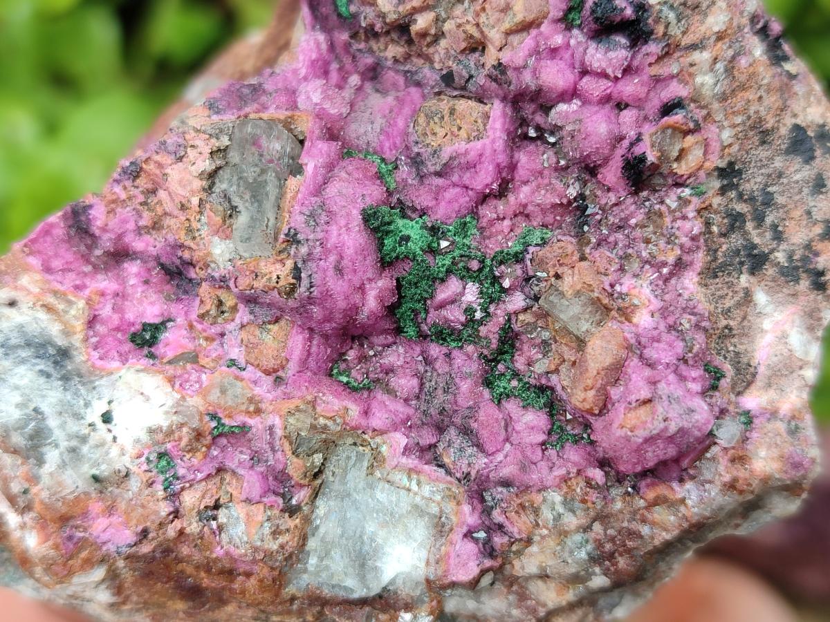 Natural Salrose Cobaltion Dolomite With Heterogenite Specimens x 3 From Kakanda, Congo