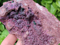 Natural Salrose Cobaltion Dolomite With Heterogenite Specimens x 3 From Kakanda, Congo