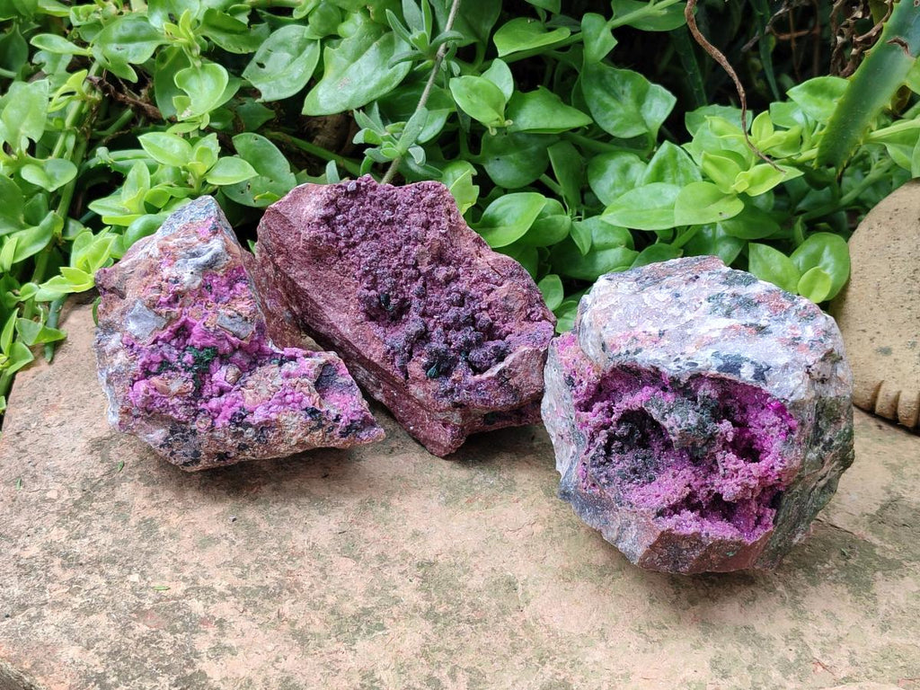 Natural Salrose Cobaltion Dolomite With Heterogenite Specimens x 3 From Kakanda, Congo