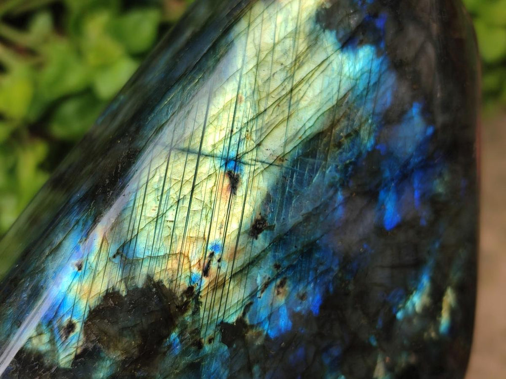 Polished Labradorite Standing Free Forms x 2 From Tulear, Madagascar